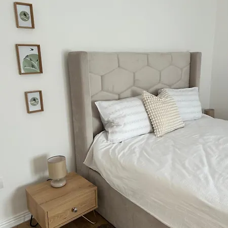 Casa Letea 蒂米什瓦拉