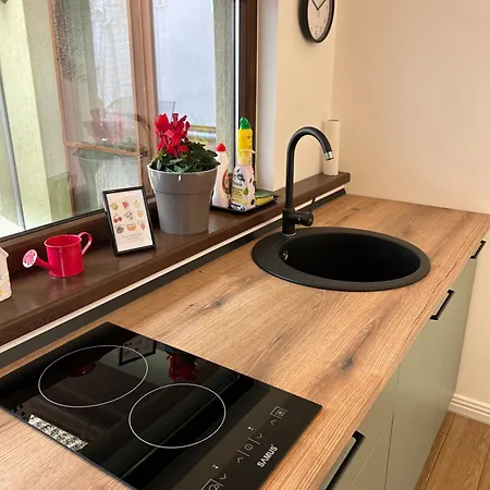 Casa Letea 公寓 蒂米什瓦拉