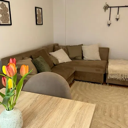 Apartment Casa Letea Timisoara