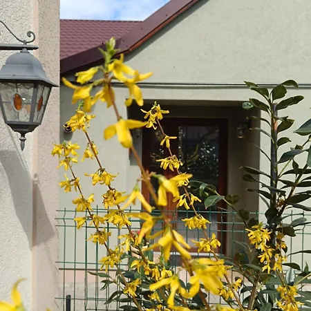 Casa Letea *