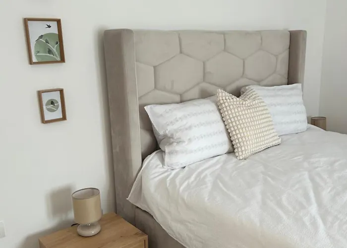 Casa Letea Timisoara