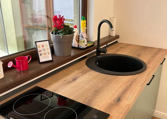 Casa Letea Apartment Timisoara