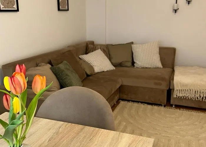 Апартаменты Casa Letea Тимишоара