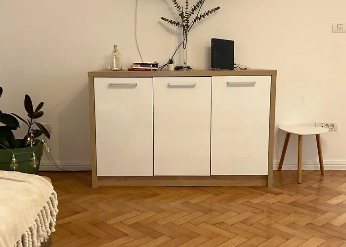 Casa Letea Тимишоара